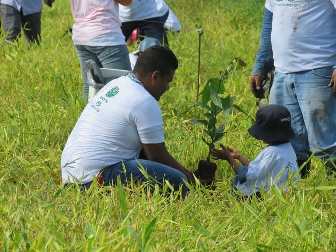 Jornada de reforestación: un voluntario ayuda a un niño a sembrar un árbol en un campo de hierba.